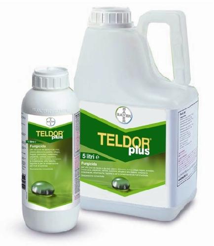 Teldor Plus, innovativa formulazione liquida a base di fenexamid 